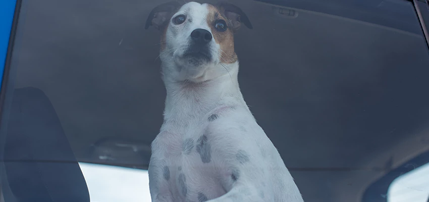 Car Lockout Solutions in Lemoore Station, California